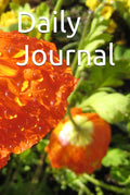 Daily Mind Cleanse Journal