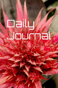 Daily Mind Cleanse Journal (Paperback)